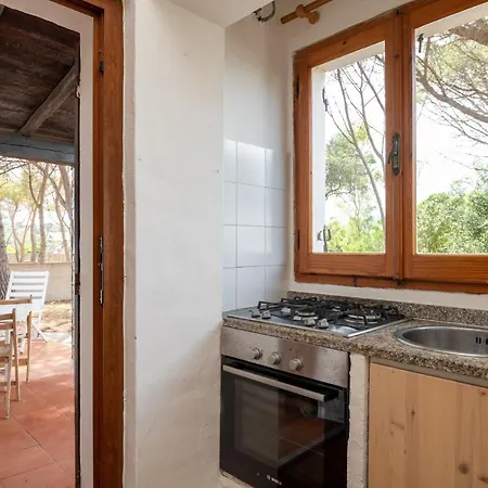 Bay Pine - Klodge Olbia