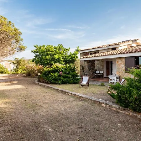 Bay Pine - Klodge Olbia