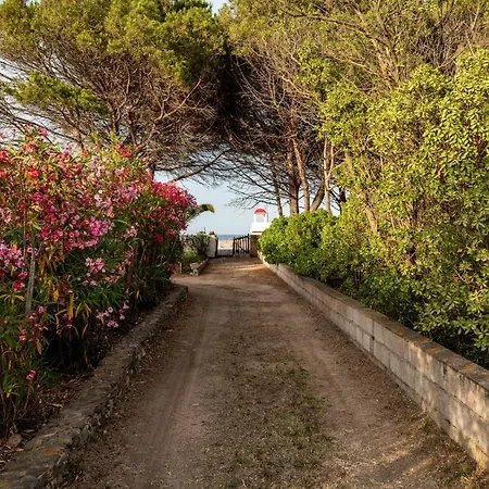 Villa Bay Pine - Klodge *