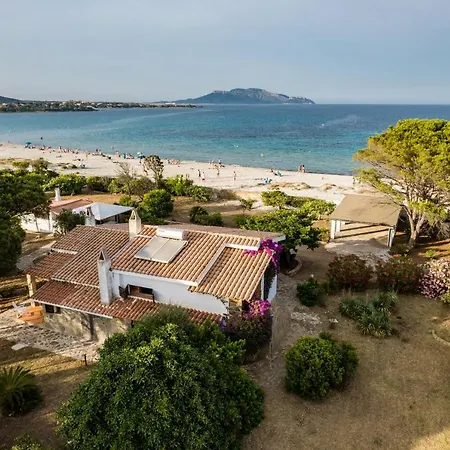 Bay Pine - Klodge * Olbia