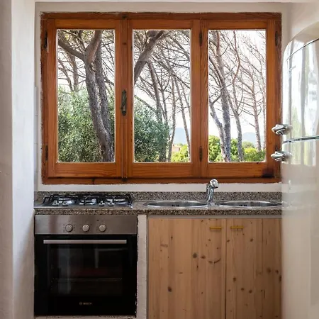 Bay Pine - Klodge Olbia