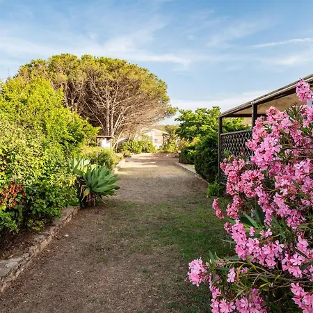 Bay Pine - Klodge Villa *