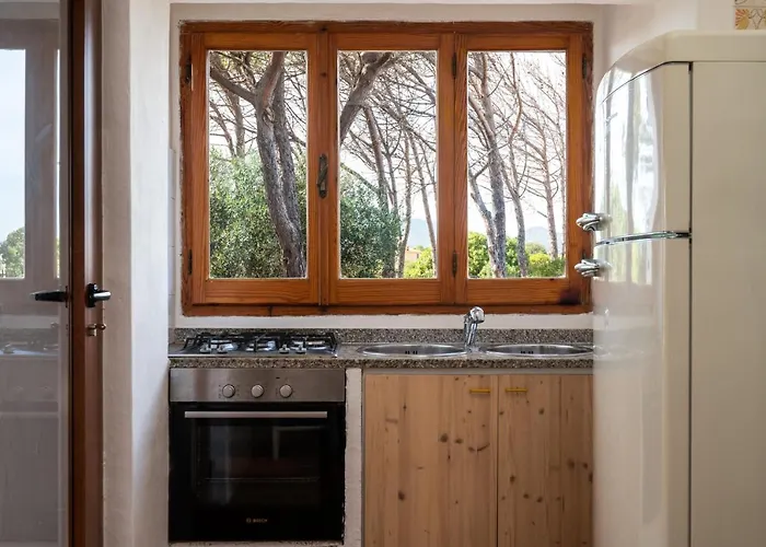 Bay Pine - Klodge Olbia