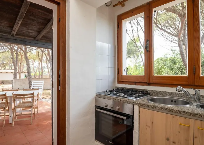 Bay Pine - Klodge Olbia