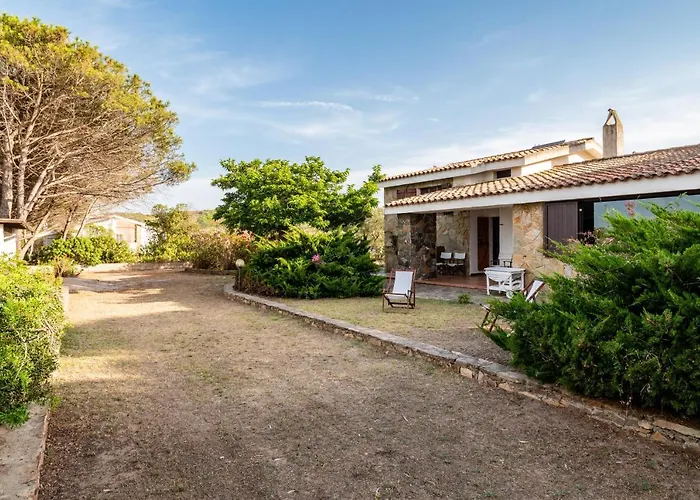 Bay Pine - Klodge Olbia