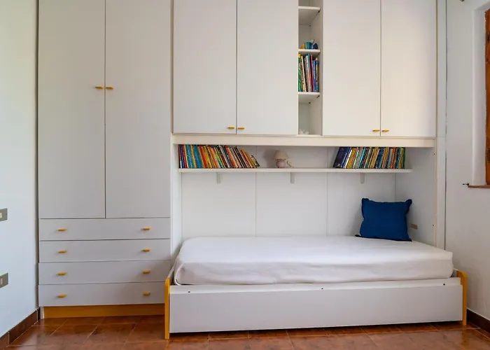 Bay Pine - Klodge Olbia